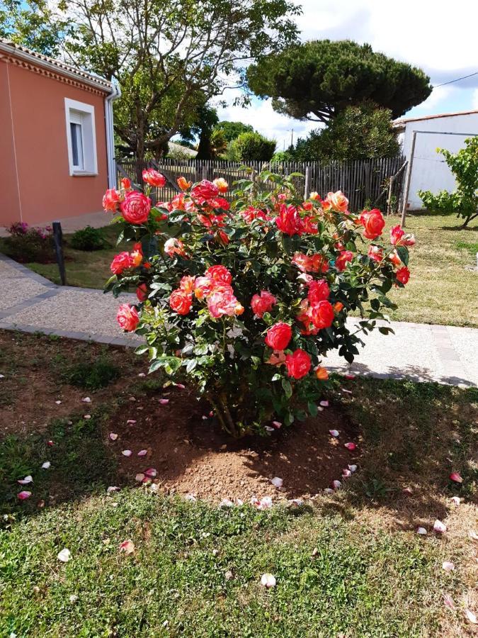 appartement indépendant à 10min des plages au calme proche O'gliss et O'funparken campagne La Jonchere Exterior foto